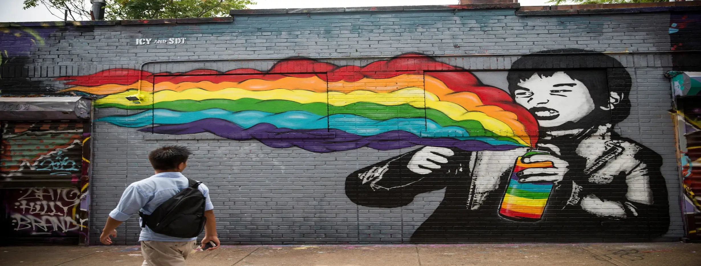 Image for Urban Canvases